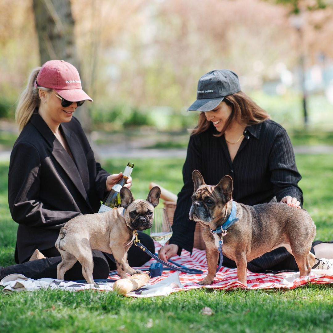 The Significance of International Dog Day