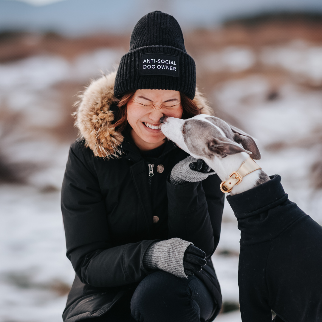 mental health benefits owning a dog