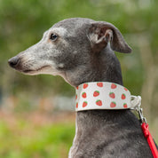 Strawberry Dog Collar Wide