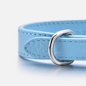Baby Blue Dog Collar Thin