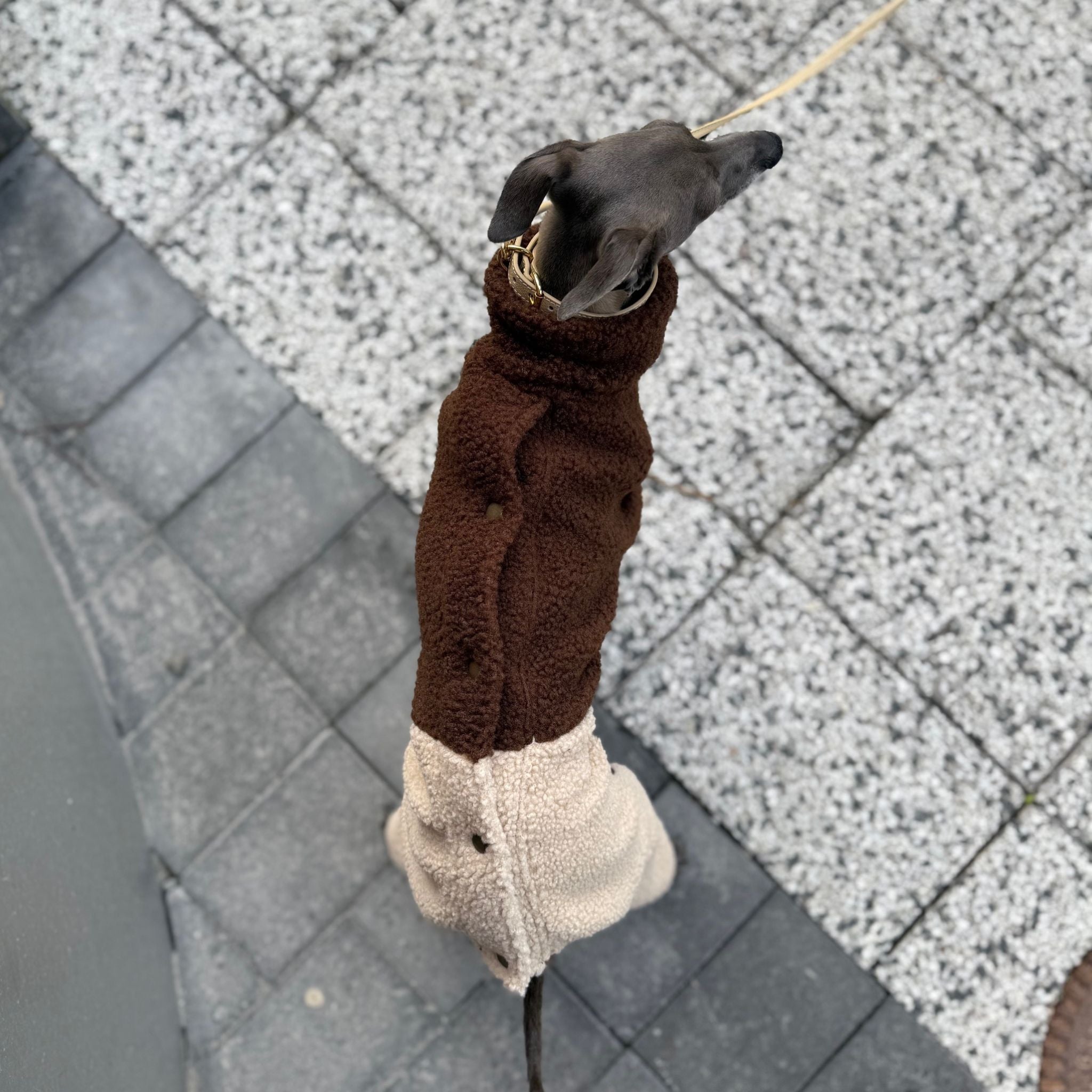 Dog wearing a brown and beige fleece coat on a gray pavement.