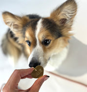 Engraved Dog Tag - Brass Heart