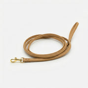 Brown Dog Lead