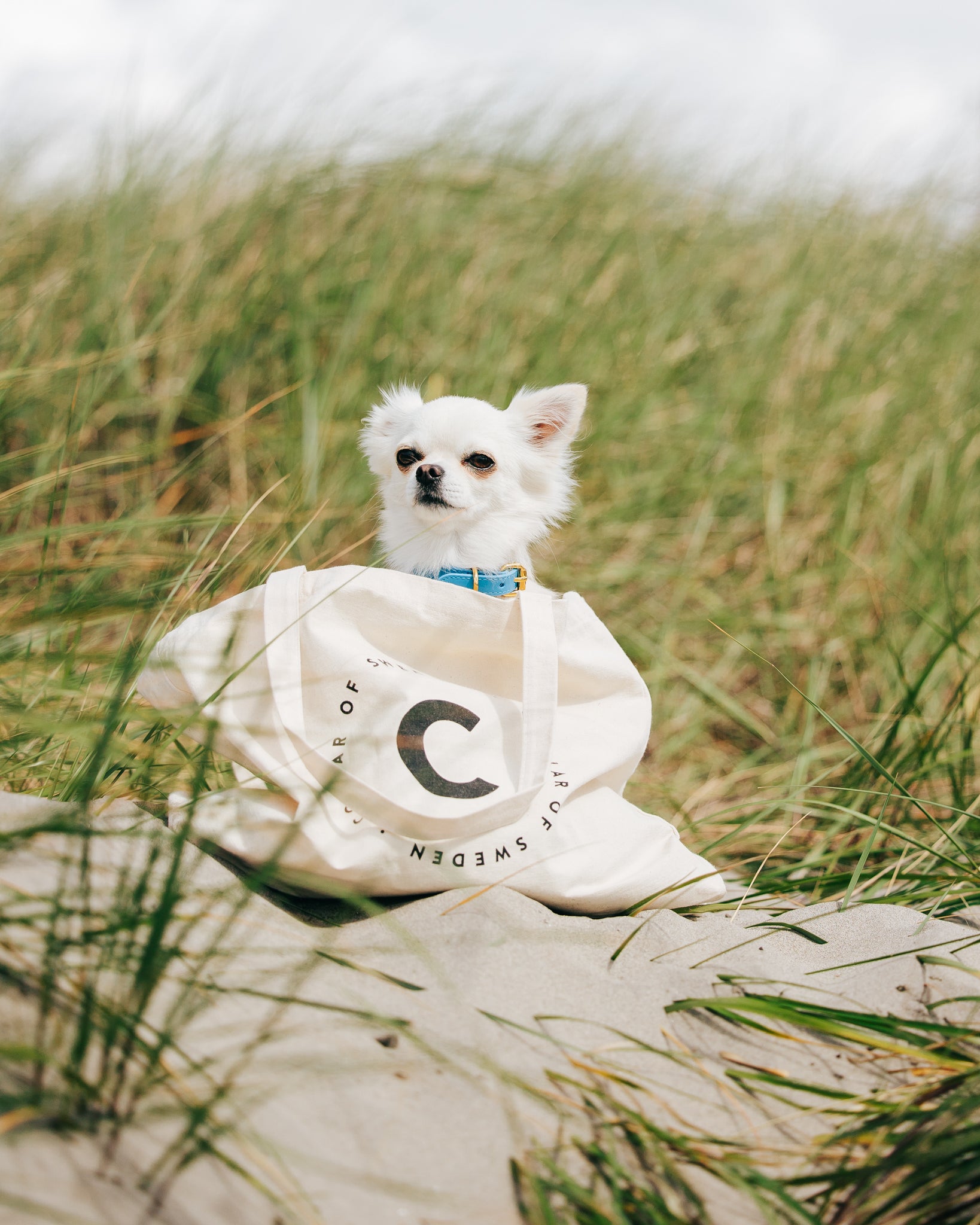 Weekend Tote Bag - I'm Not Spoiled My Human Is Just Well Trained