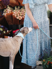 Clouds Dog Collar Wide