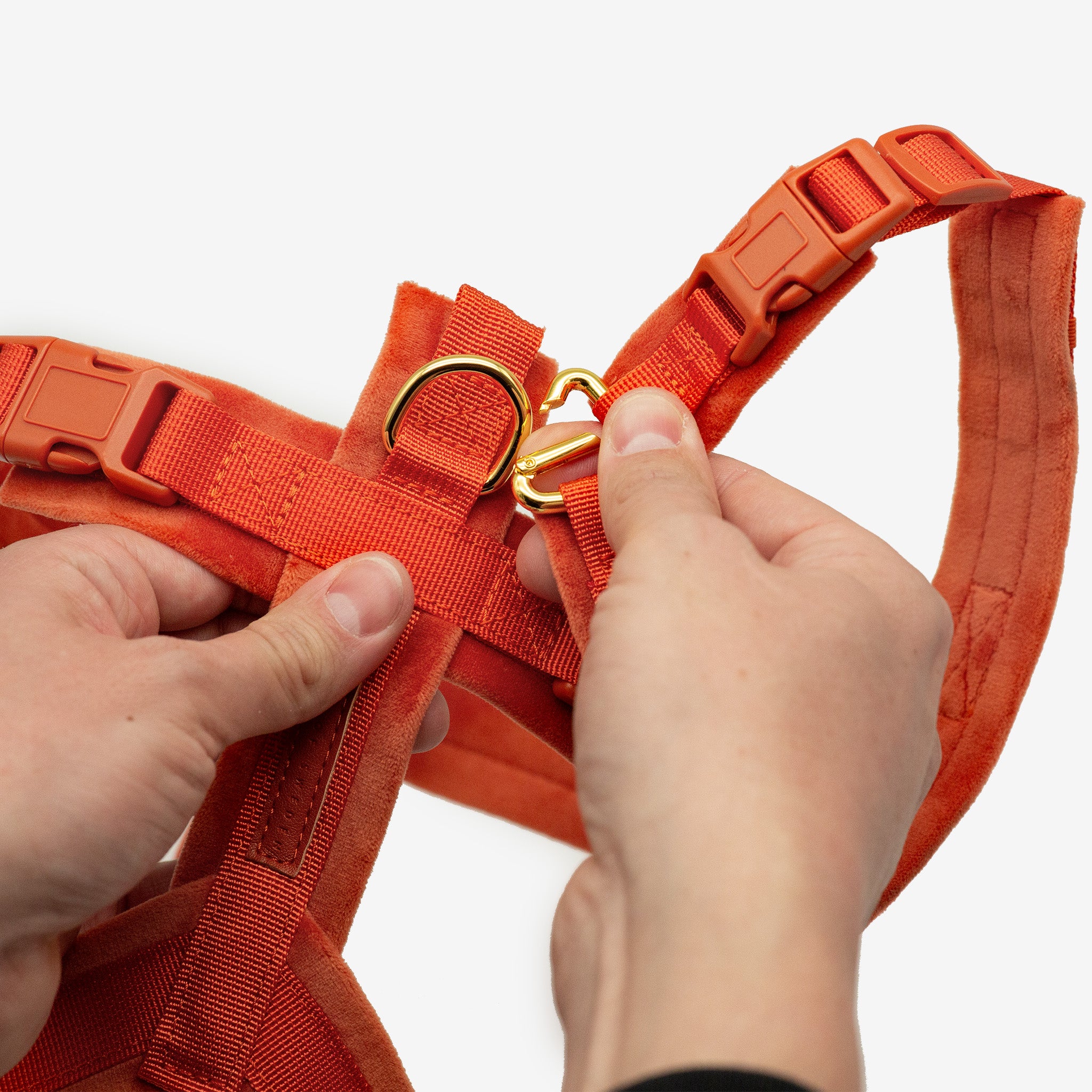 Cognac Y-Harness