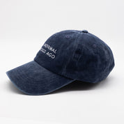 Dark Blue Denim Cap - I Was Normal Two Dogs Ago