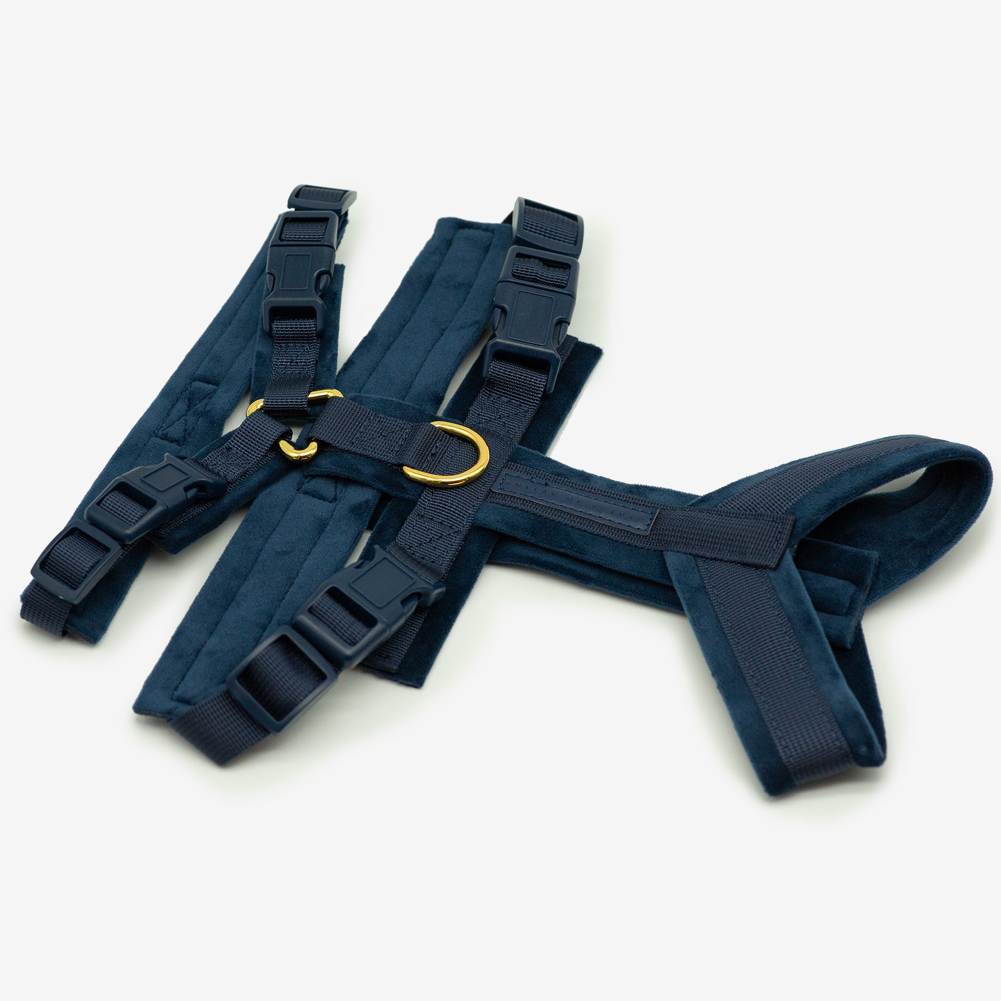dark-blue-harness-whole.jpg