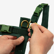 Dark Green Y-Harness