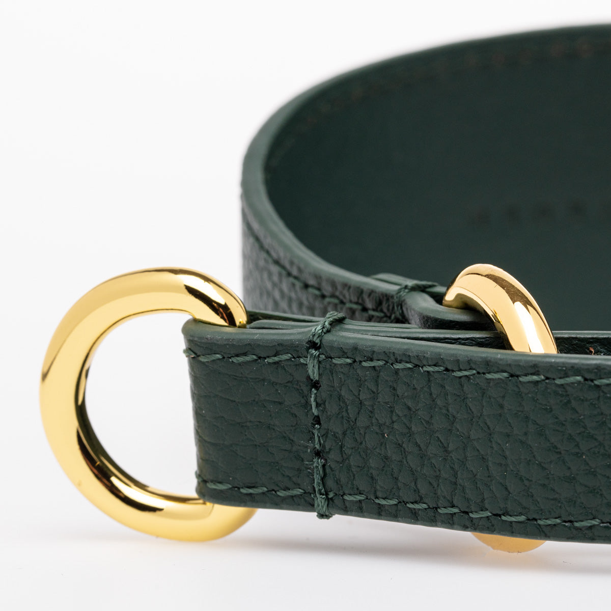 Dark Green Dog Martingale Wide