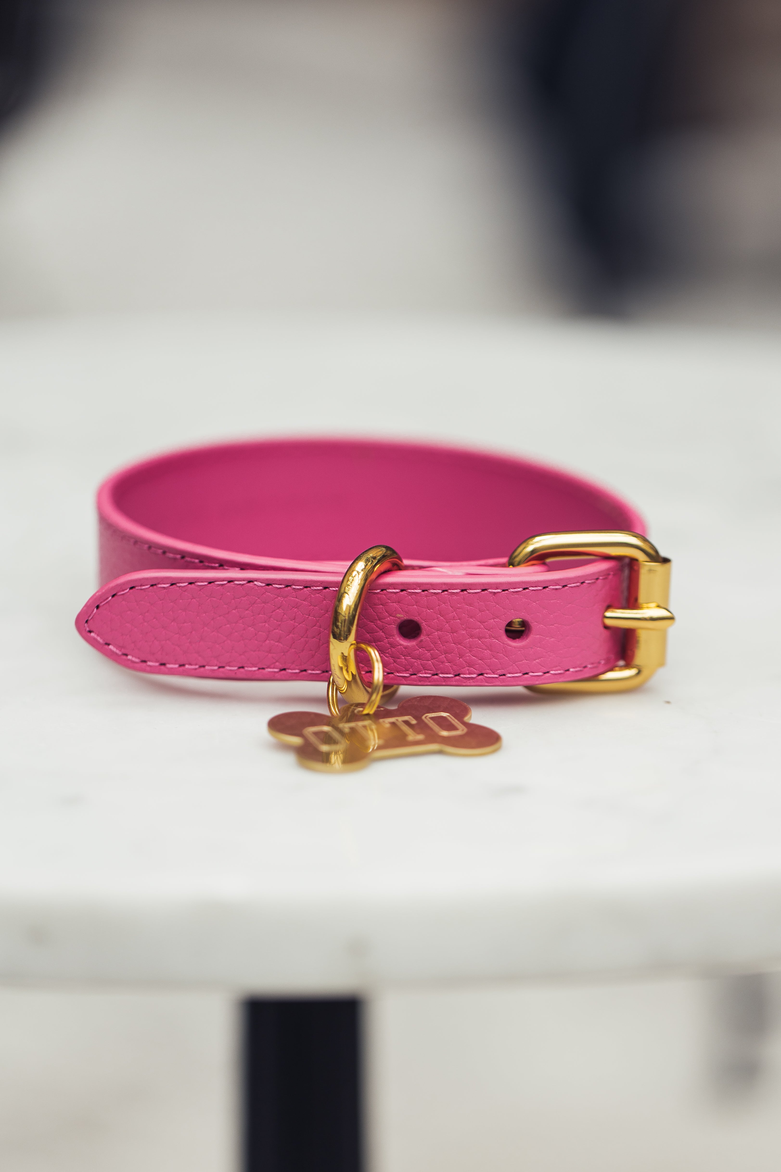 Hot Pink Dog Collar Thin