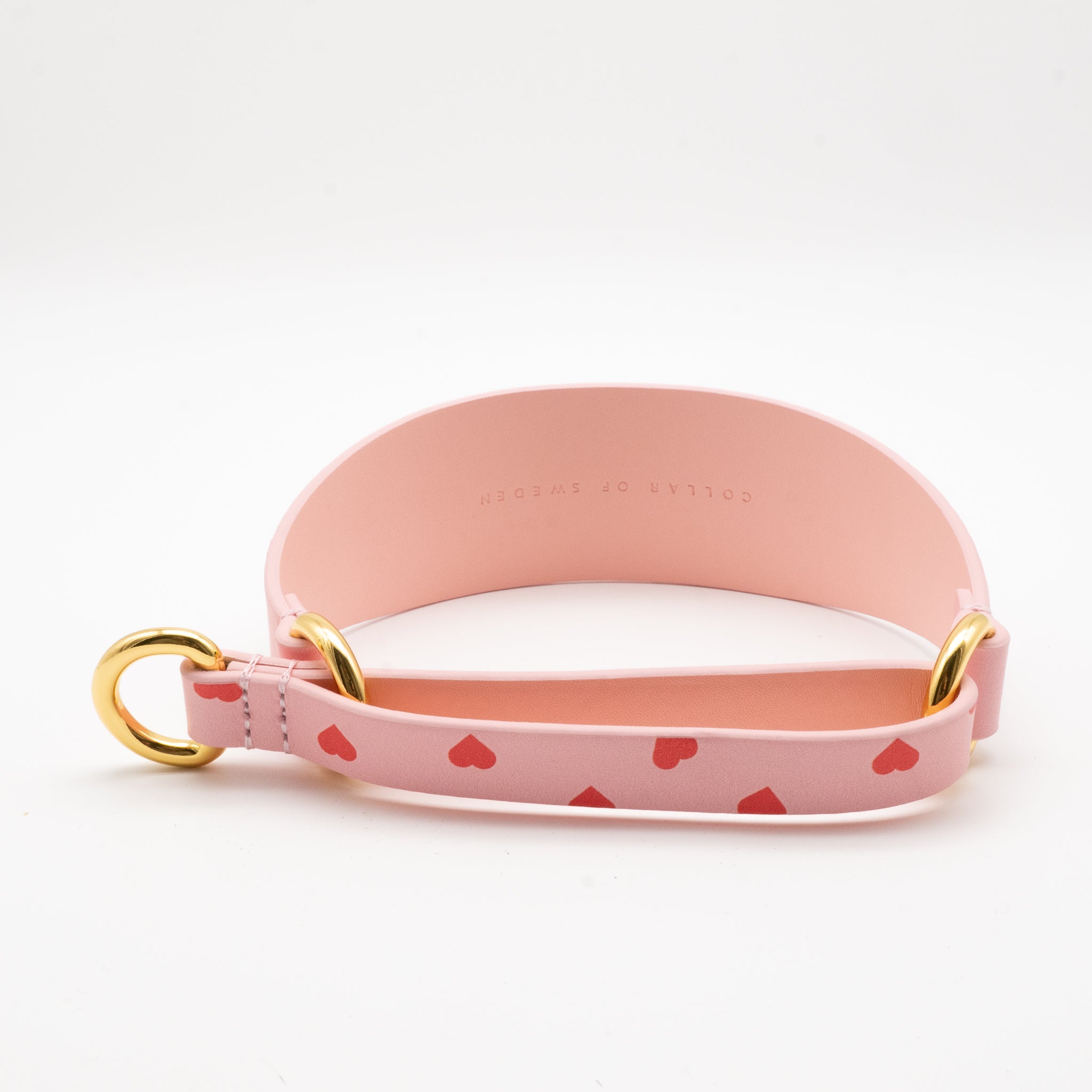 love-martingale-dog-collar-wide-back.jpg