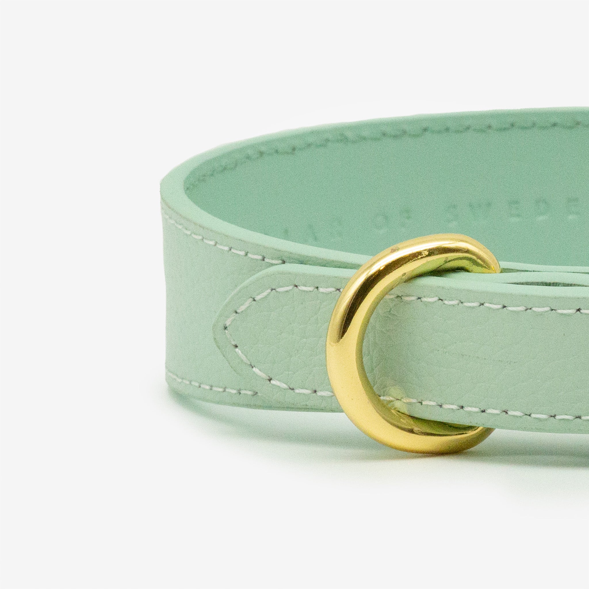 Mint Dog Collar Thin