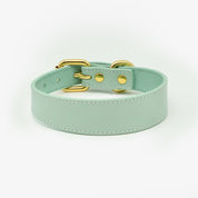 Mint Dog Collar Thin