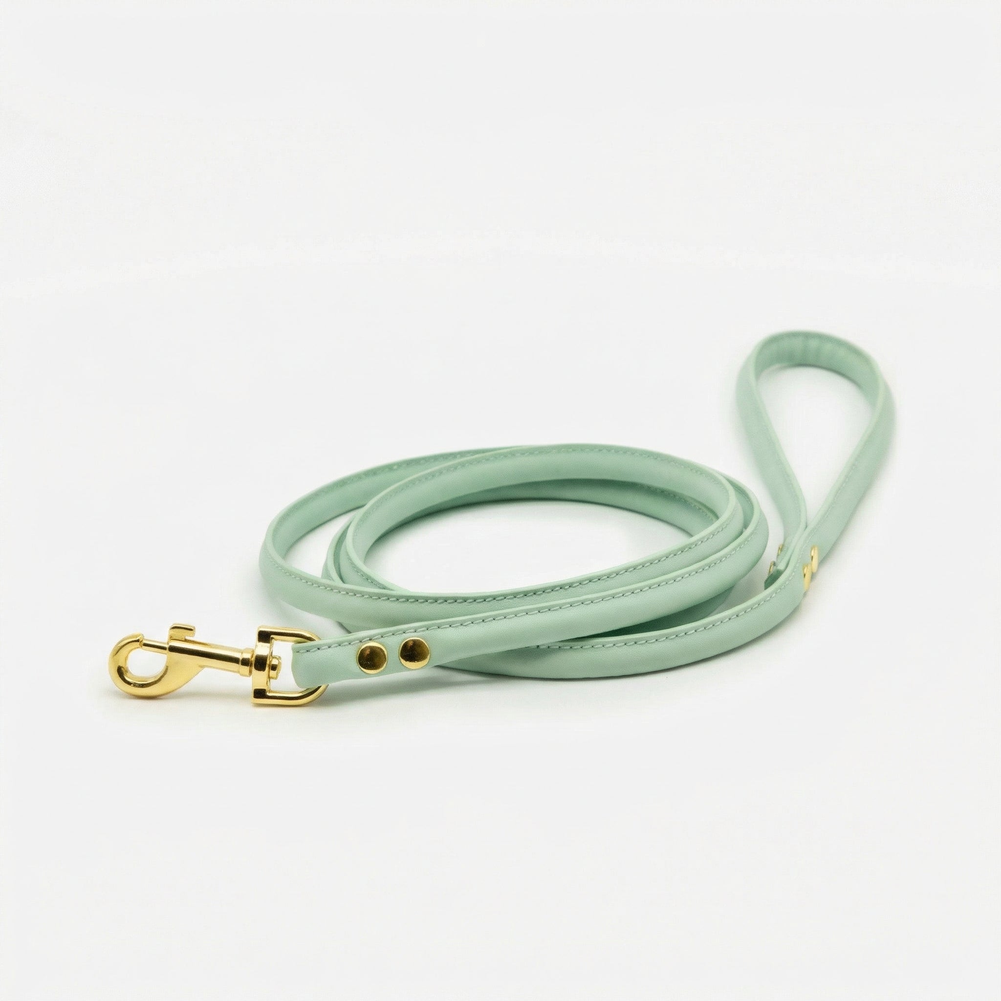 mint-dog-lead-medium-gold.jpg