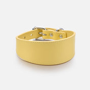 Pastel Yellow Dog Collar Wide