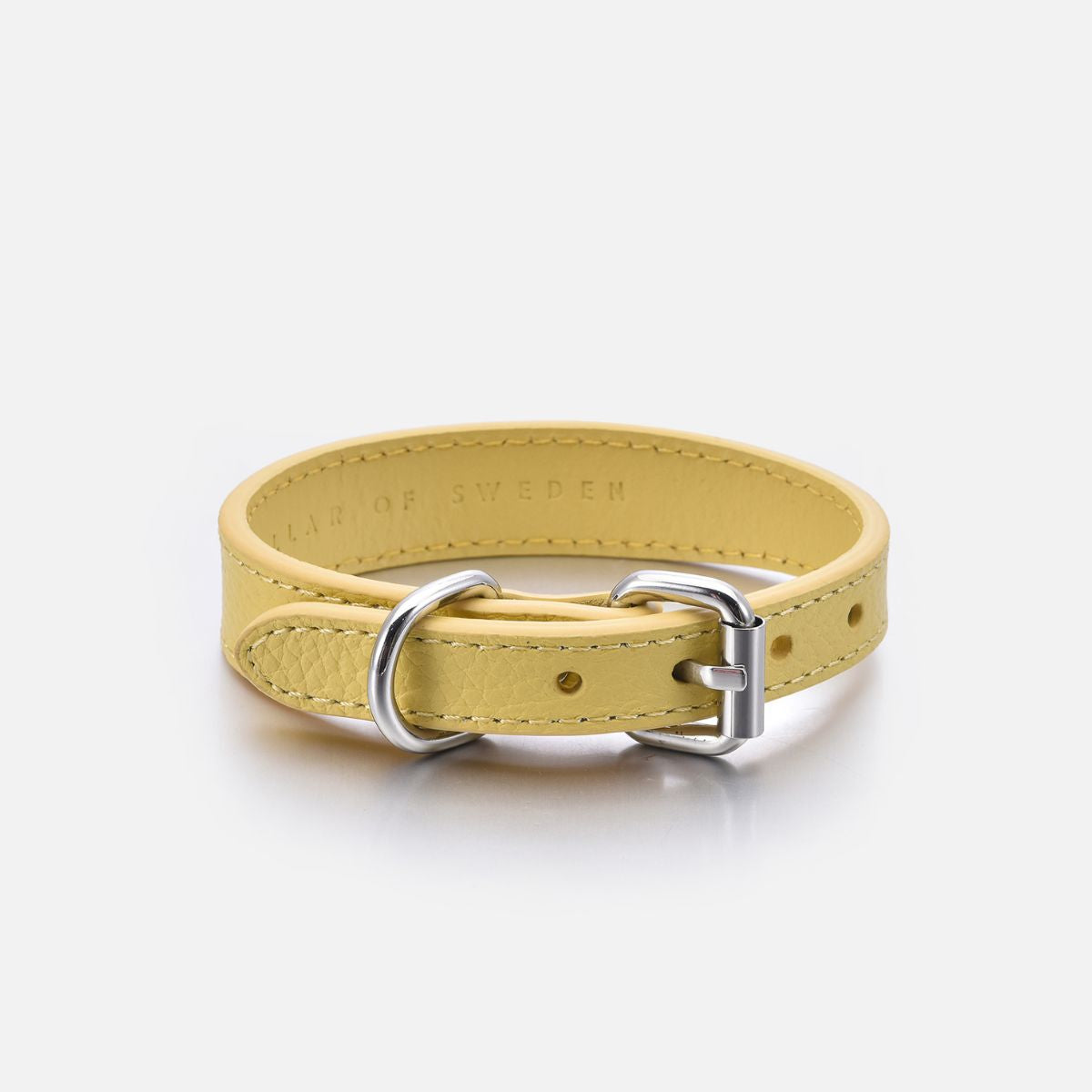 pastel-yellow-dog-collar-xs-thin-buckle.jpg