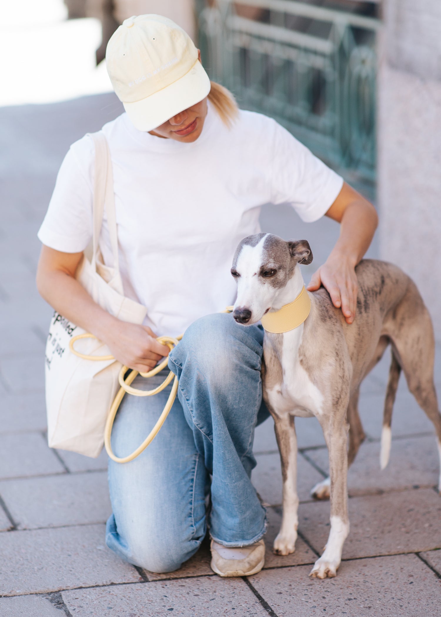 Pastel Yellow Dog Lead