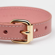 Pink Dog Collar Thin