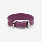 Purple Dog Collar Thin