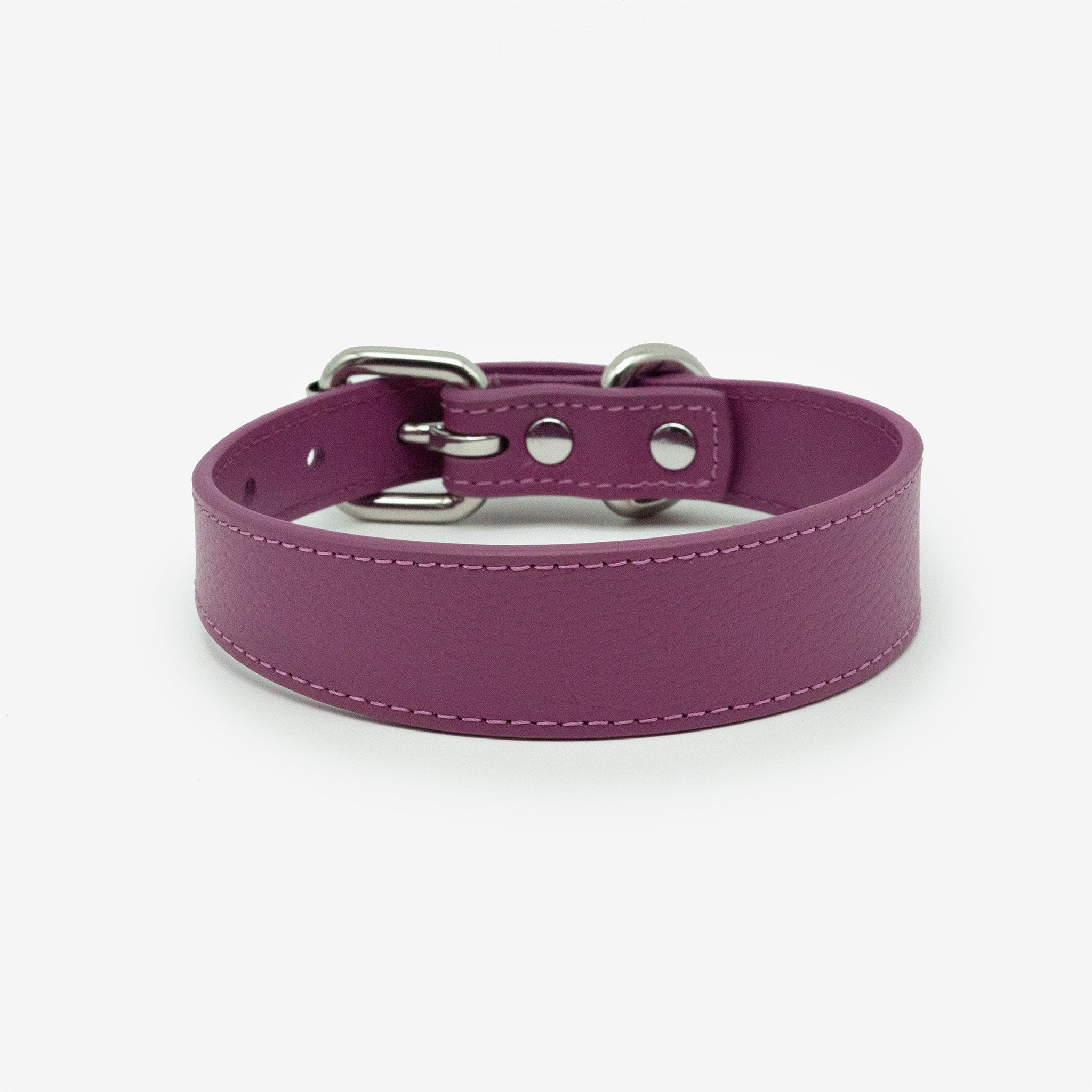 Purple Dog Collar Thin