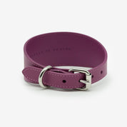 Purple Dog Collar Wide