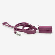 Purple Dog Lead