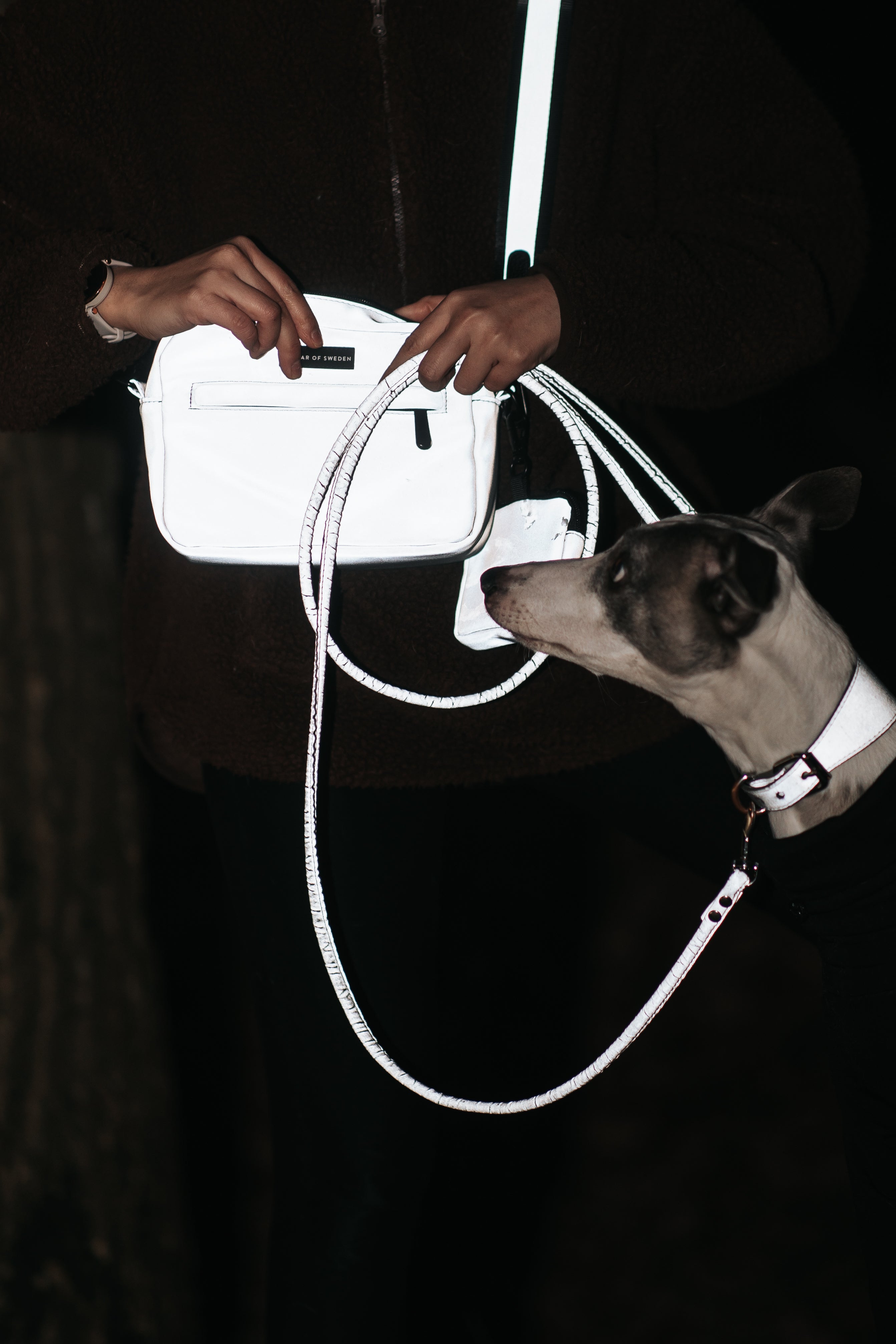 Reflective Silver Dog Walking Bag - Crossbody