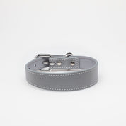 Reflective Silver Dog Collar Thin