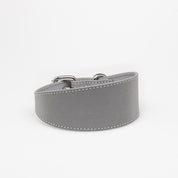 Reflective Silver Dog Collar Wide