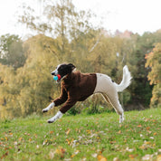 Beige & Brown Sighthound Fleece Onesie