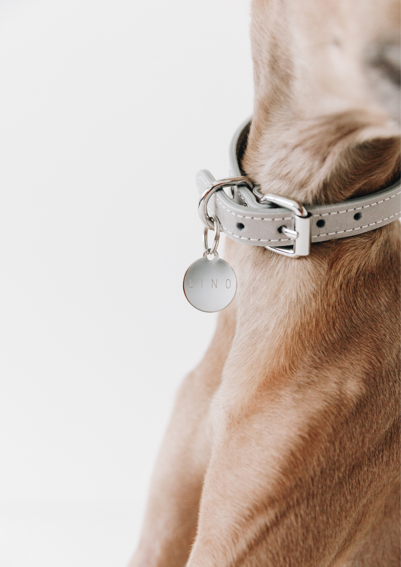 silver-circle-name-tag-small-detail-1.png
