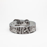 Snake Dog Collar Thin