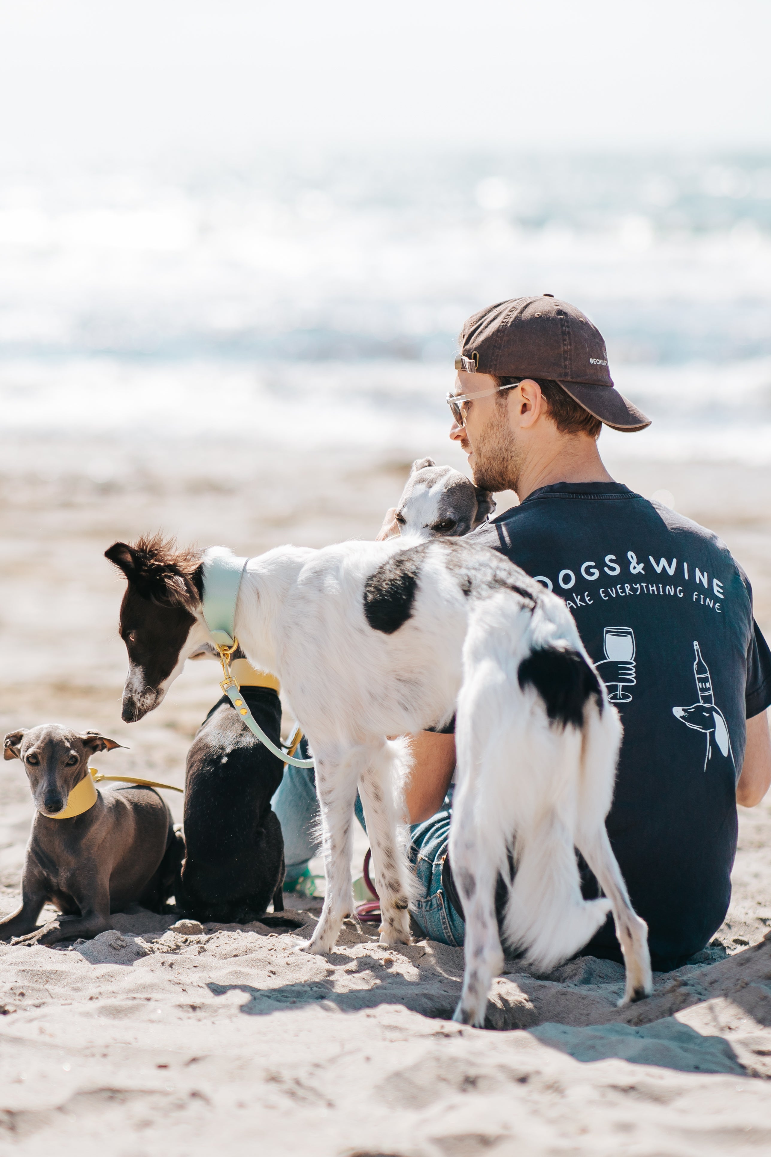 Vintage Black T-shirt - Dogs & Wine Make Everything Fine