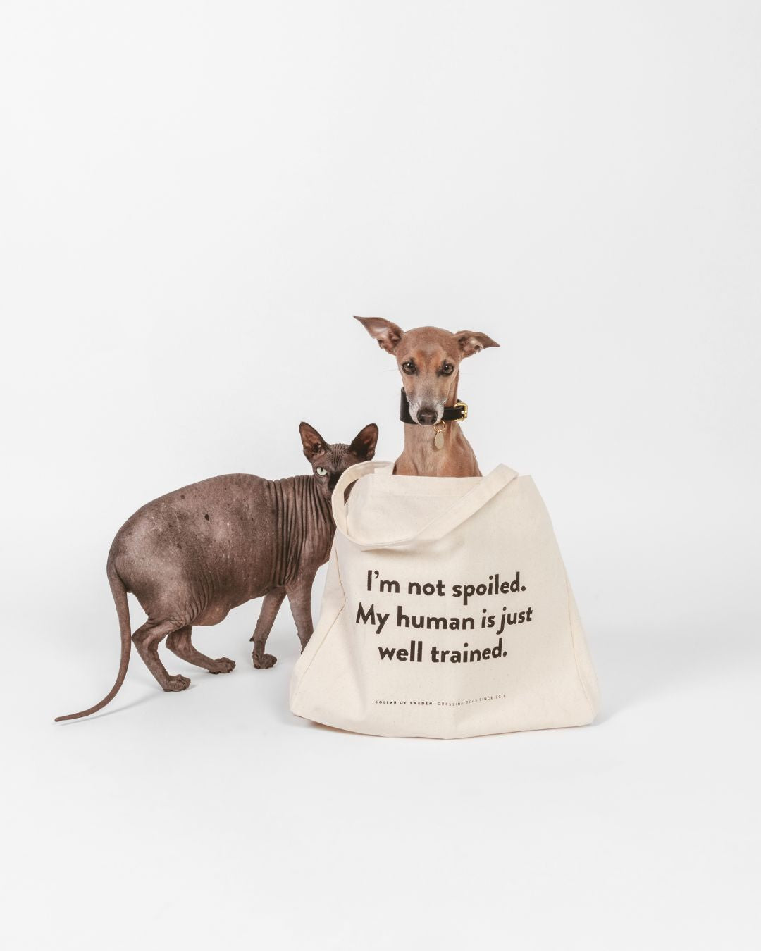 tote-bag-hero-mobile.jpg