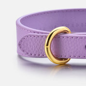 Violet Dog Collar Thin