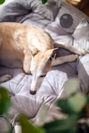 Grey Dog Bed 3in1